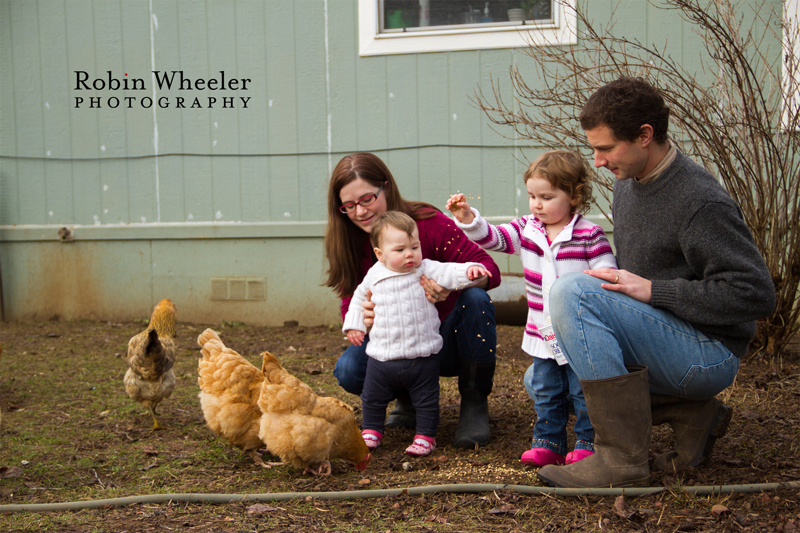 Toddler feeding the family chickens, Dallas, Oregon