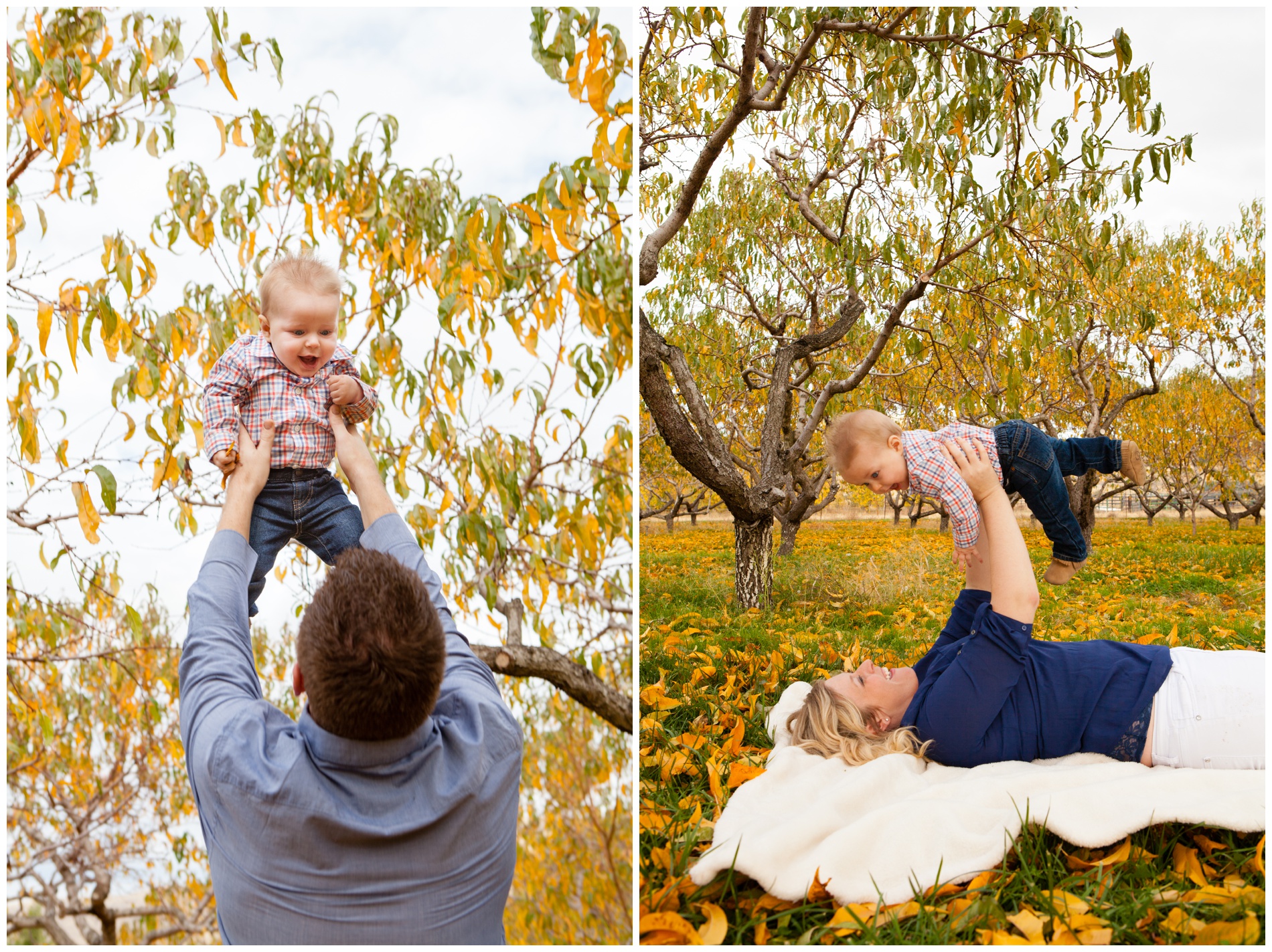 Fall family pictures in a pear orchard near Payette, Idaho