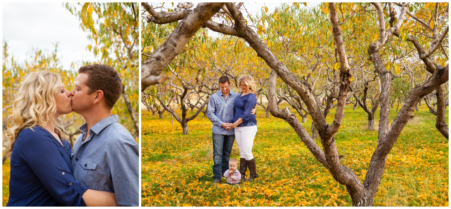 Fall family pictures in a pear orchard near Payette, Idaho