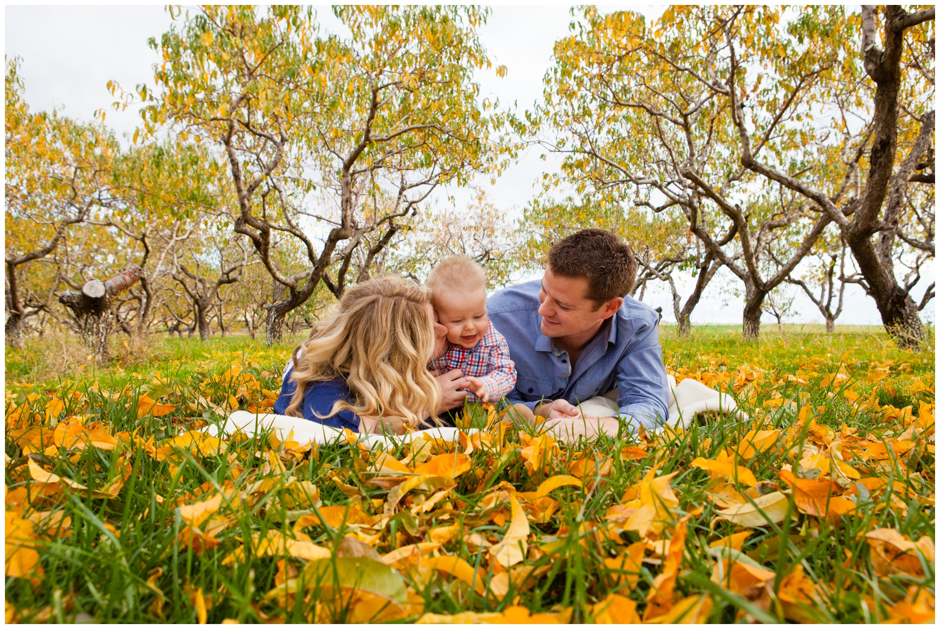 Fall family pictures in a pear orchard near Payette, Idaho