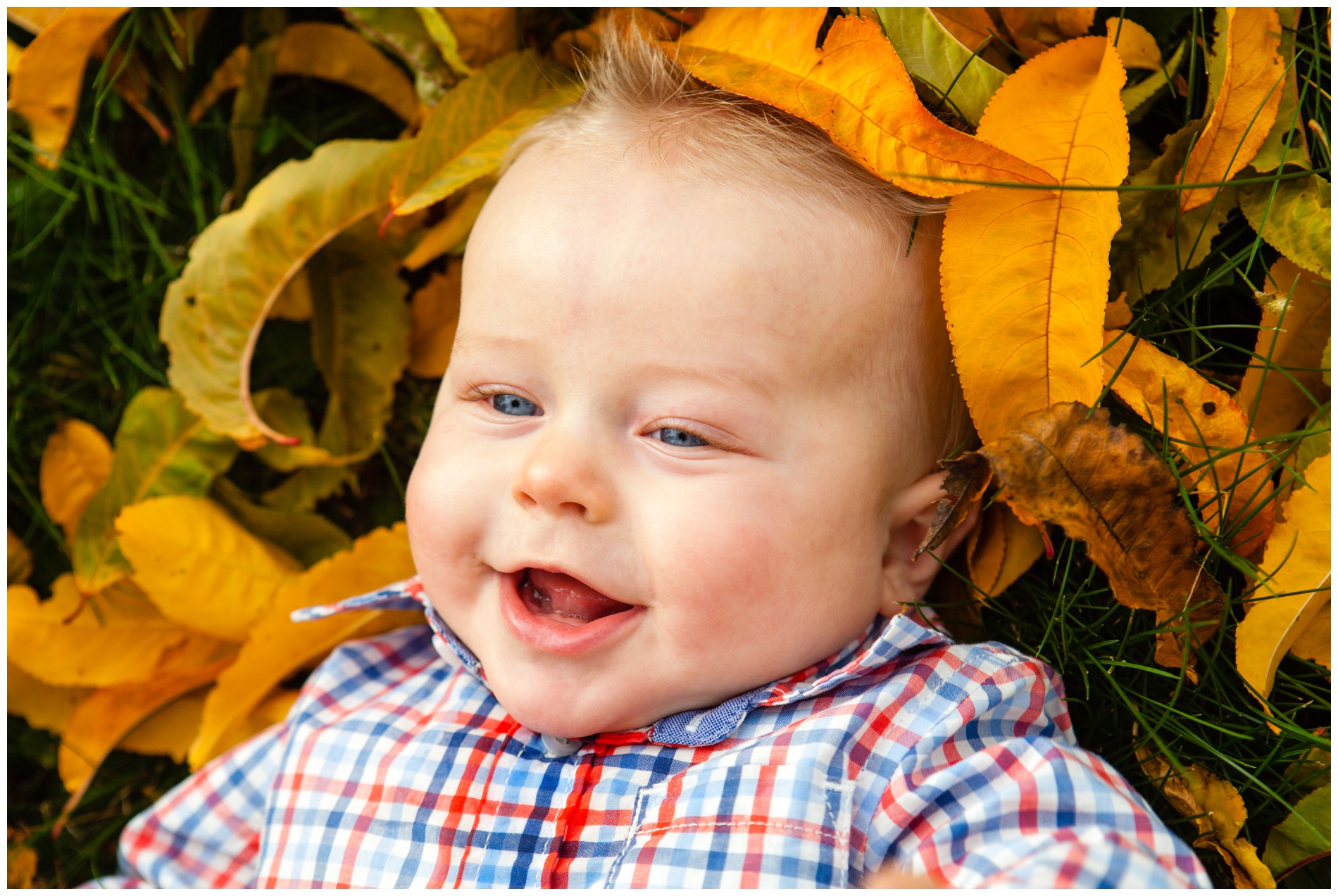 Fall family pictures in a pear orchard near Payette, Idaho