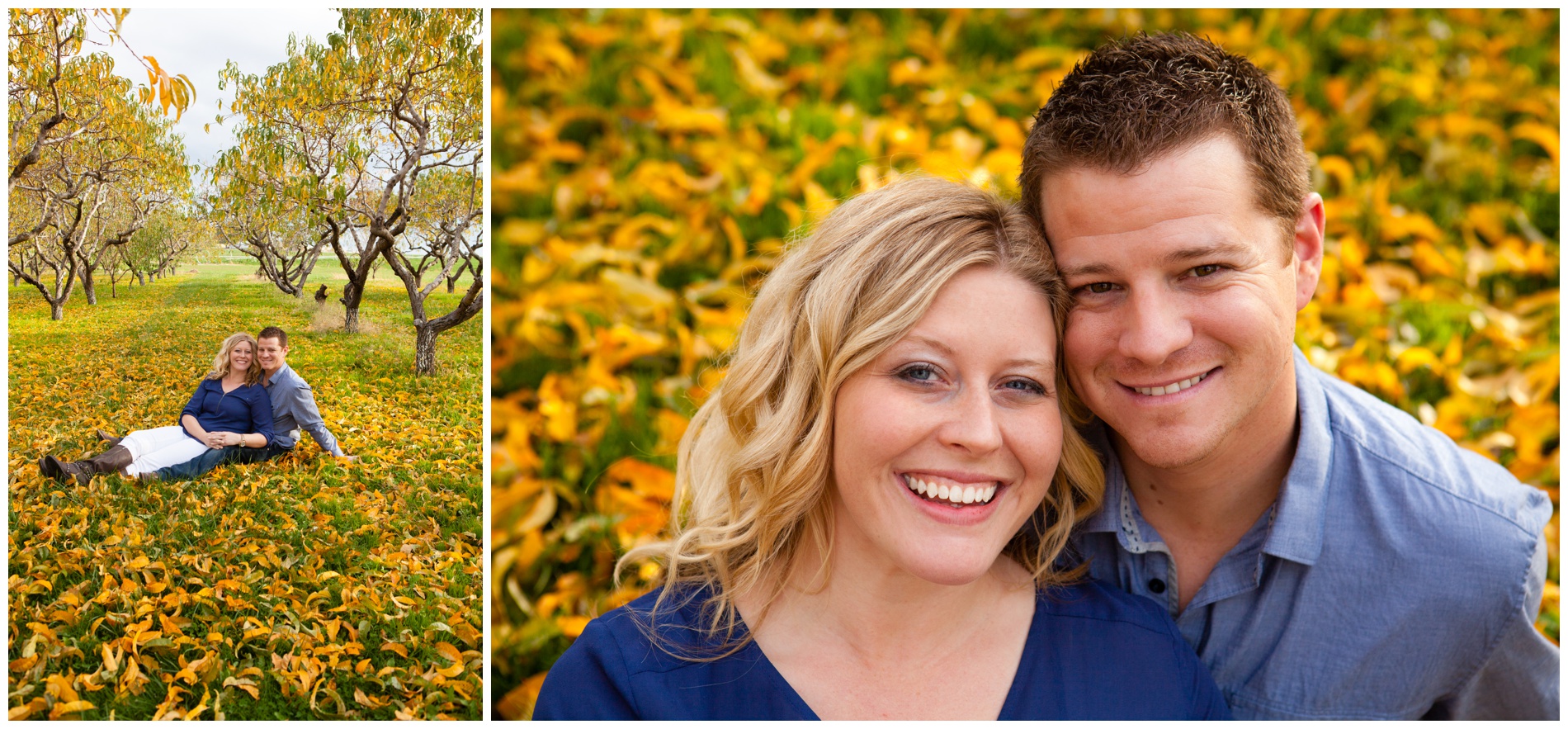 Fall family pictures in a pear orchard near Payette, Idaho