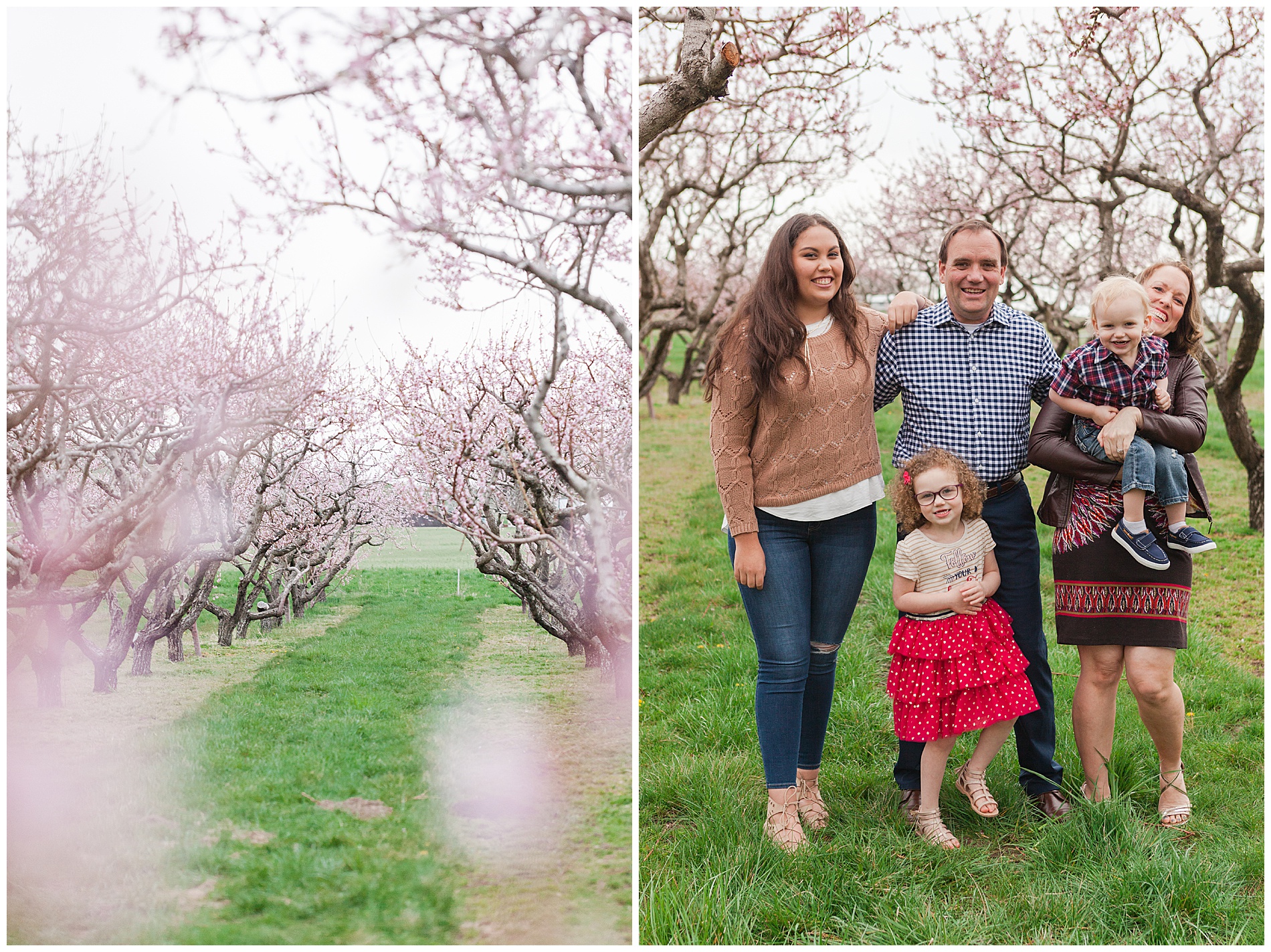 Fun and relaxed family portraits in a peach orchard with pink blossoms | Idaho family photographer | Robin Wheeler Photography