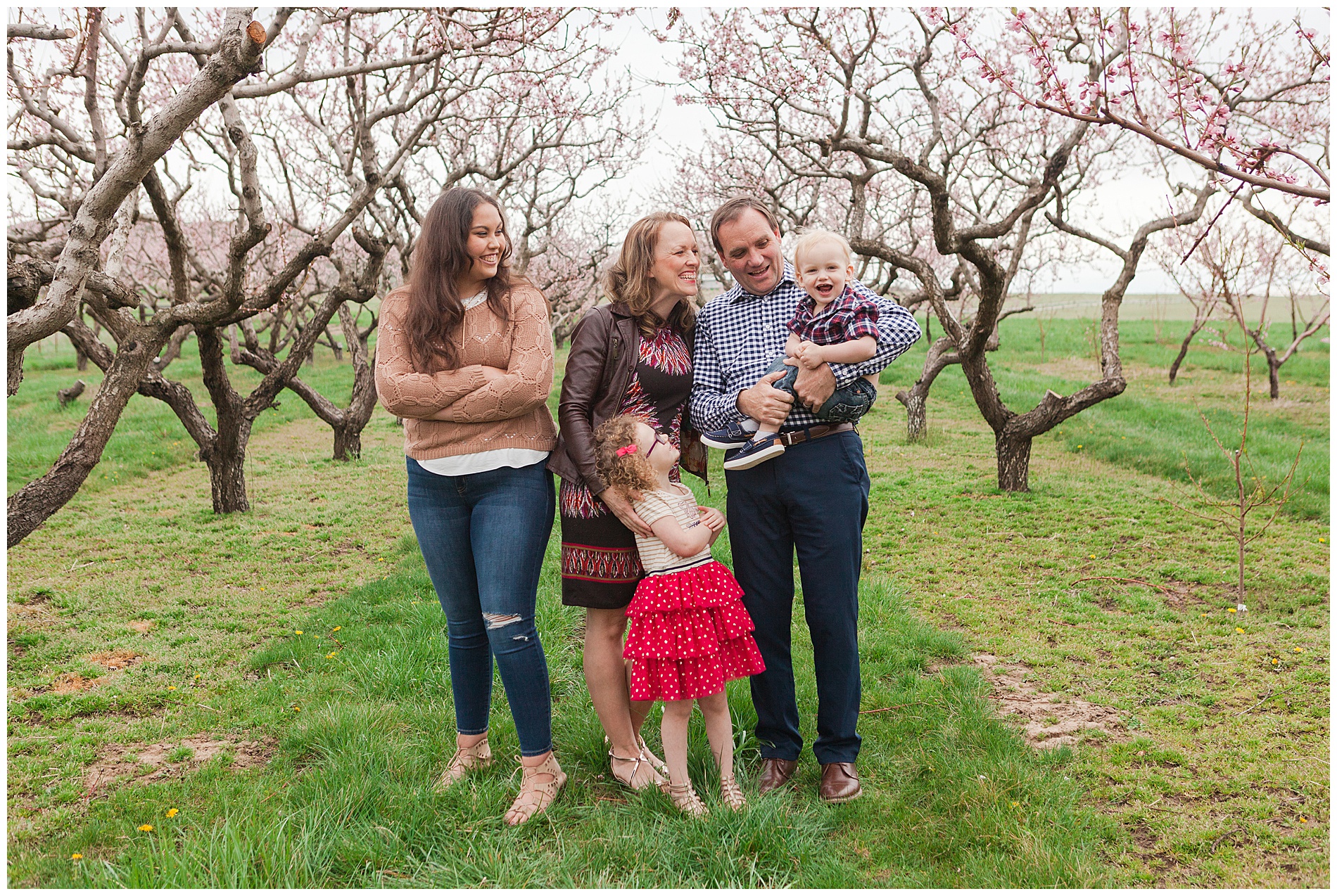 Fun and relaxed family portraits in a peach orchard with pink blossoms | Idaho family photographer | Robin Wheeler Photography