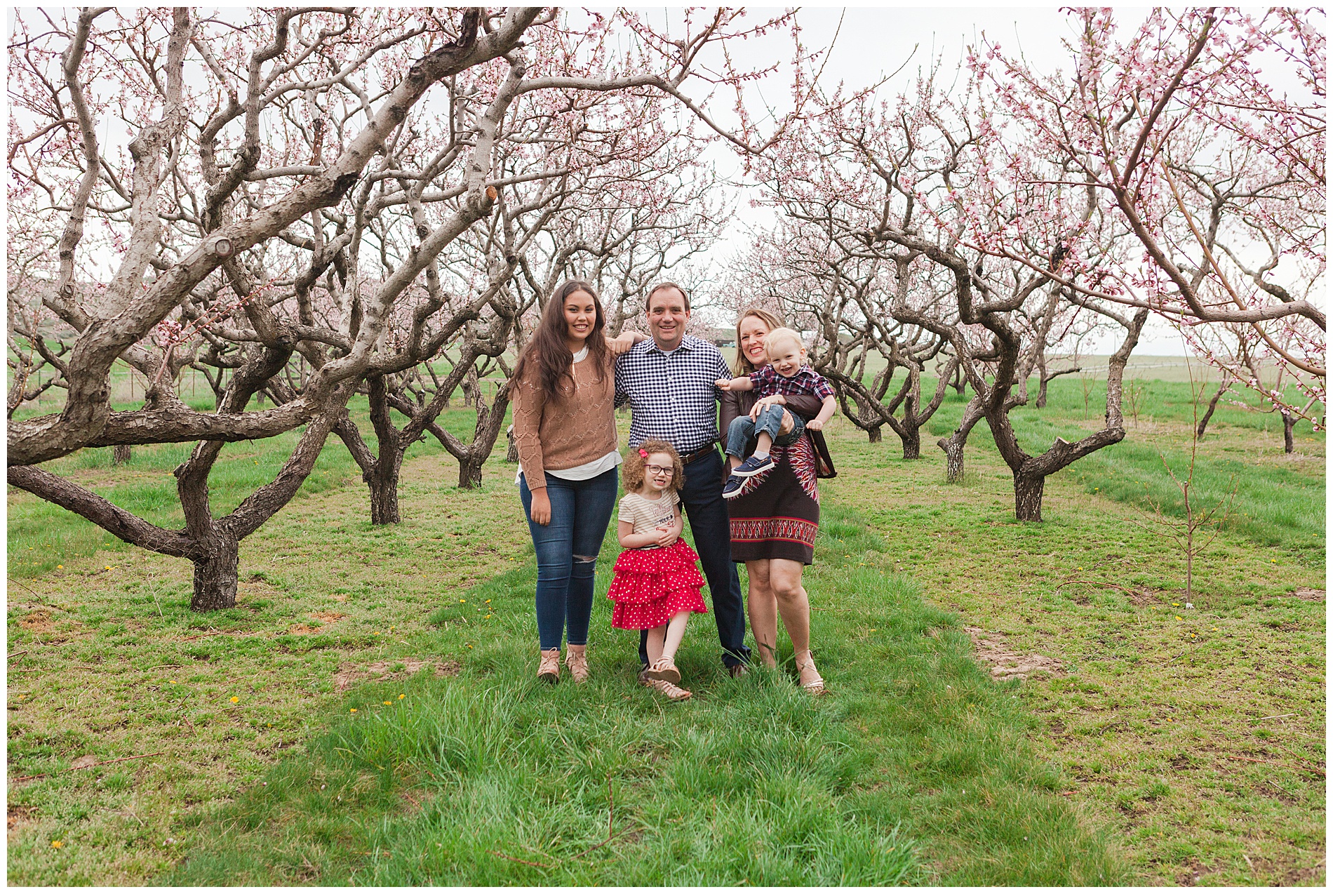 Fun and relaxed family portraits in a peach orchard with pink blossoms | Idaho family photographer | Robin Wheeler Photography