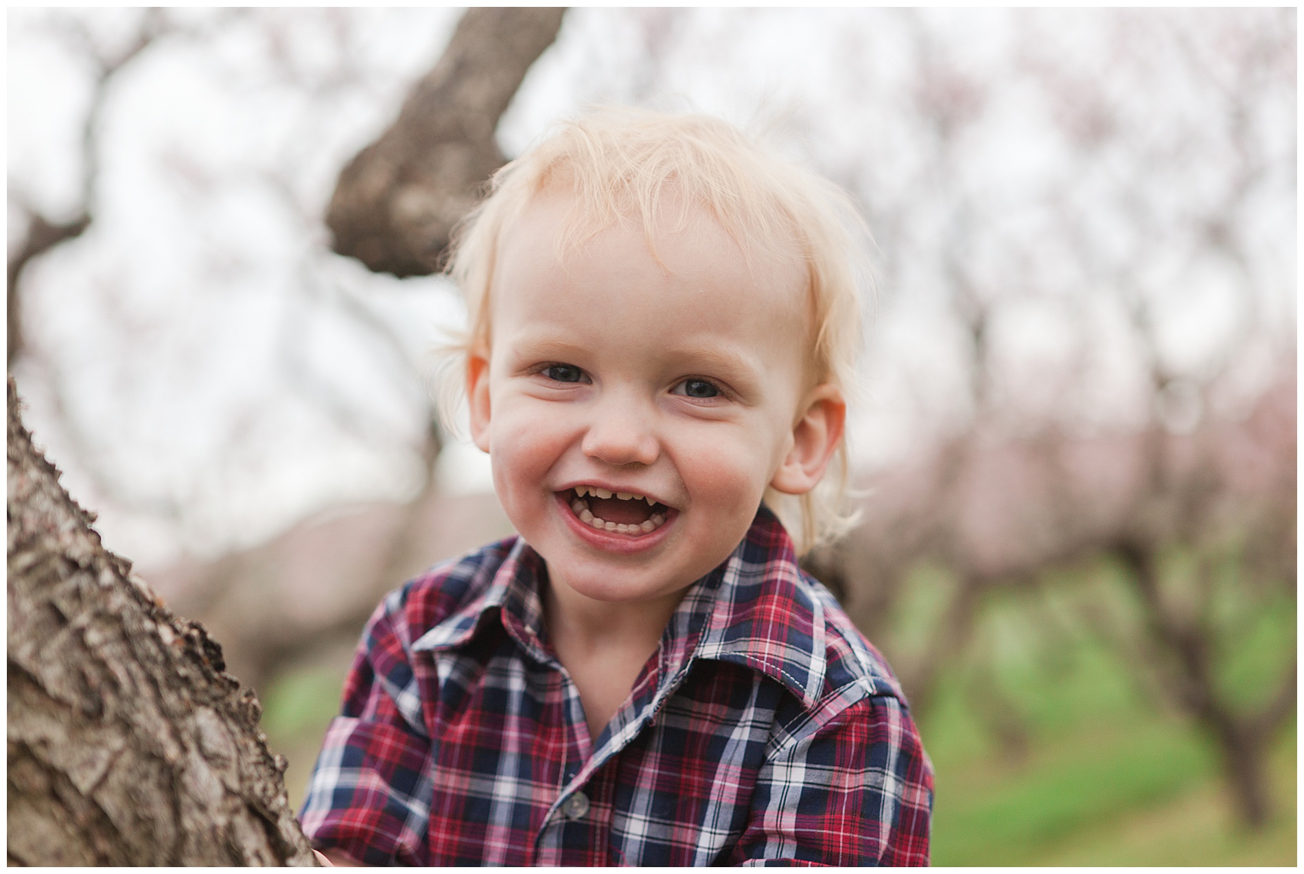 Fun and relaxed family portraits in a peach orchard with pink blossoms | Idaho family photographer | Robin Wheeler Photography