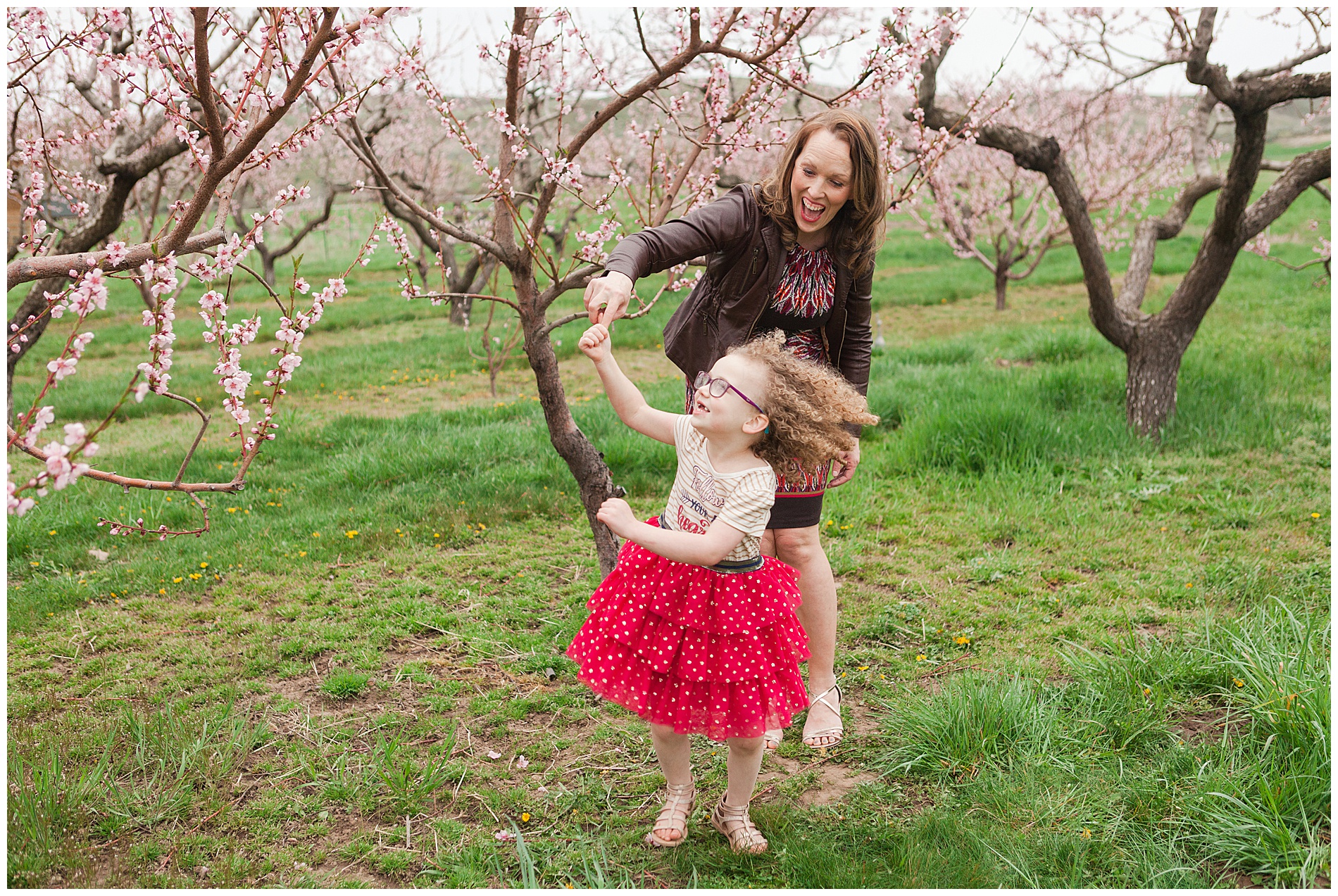 Fun and relaxed family portraits in a peach orchard with pink blossoms | Idaho family photographer | Robin Wheeler Photography