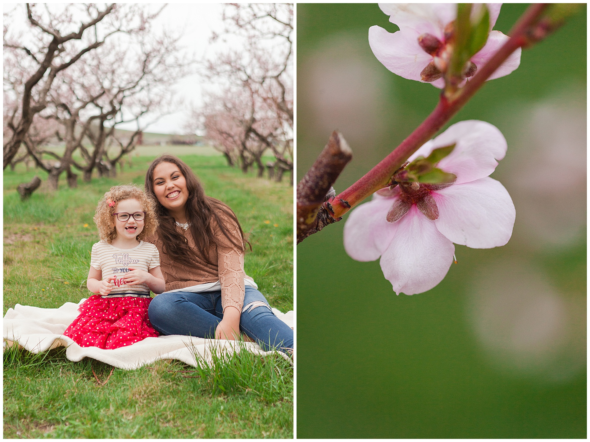 Fun and relaxed family portraits in a peach orchard with pink blossoms | Idaho family photographer | Robin Wheeler Photography