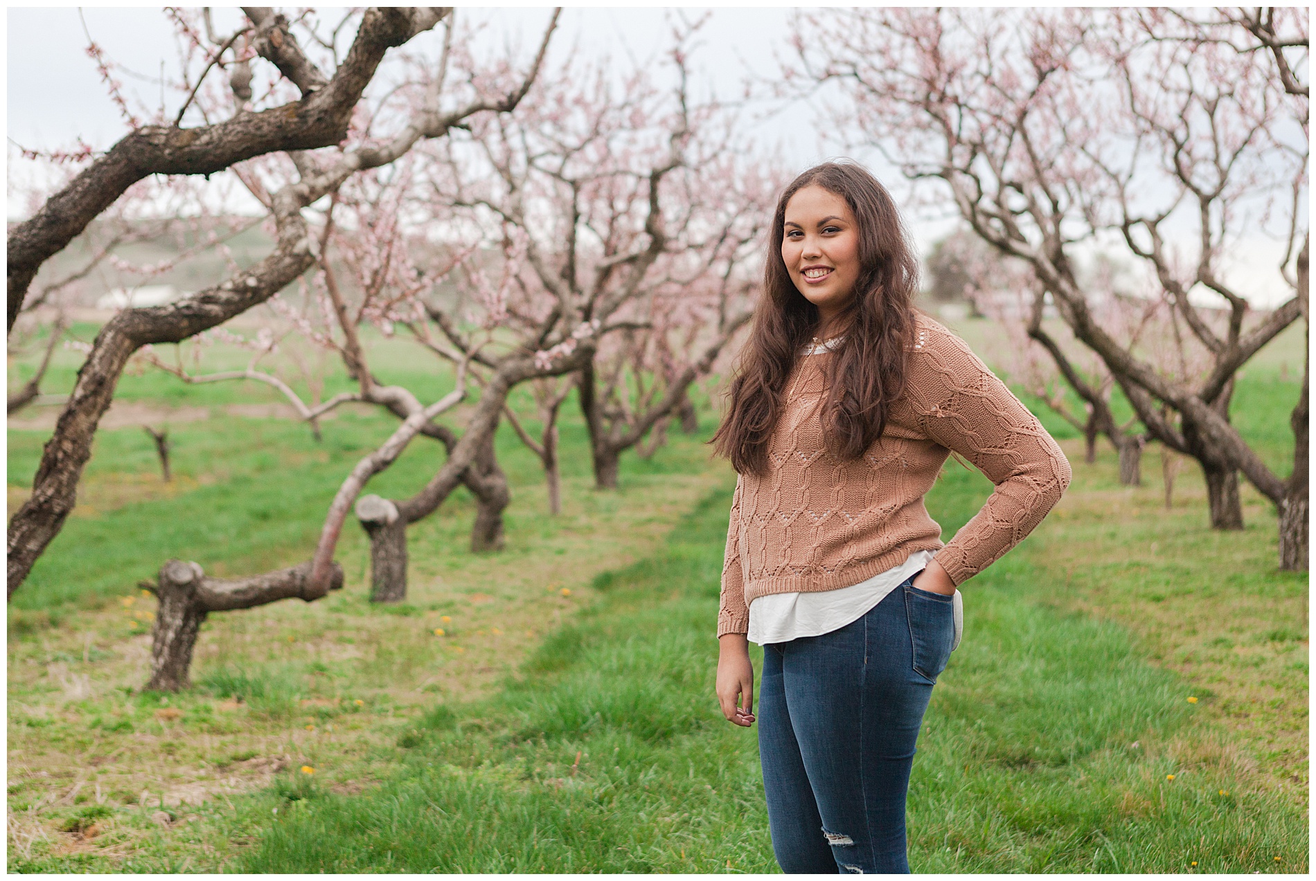 Fun and relaxed family portraits in a peach orchard with pink blossoms | Idaho family photographer | Robin Wheeler Photography