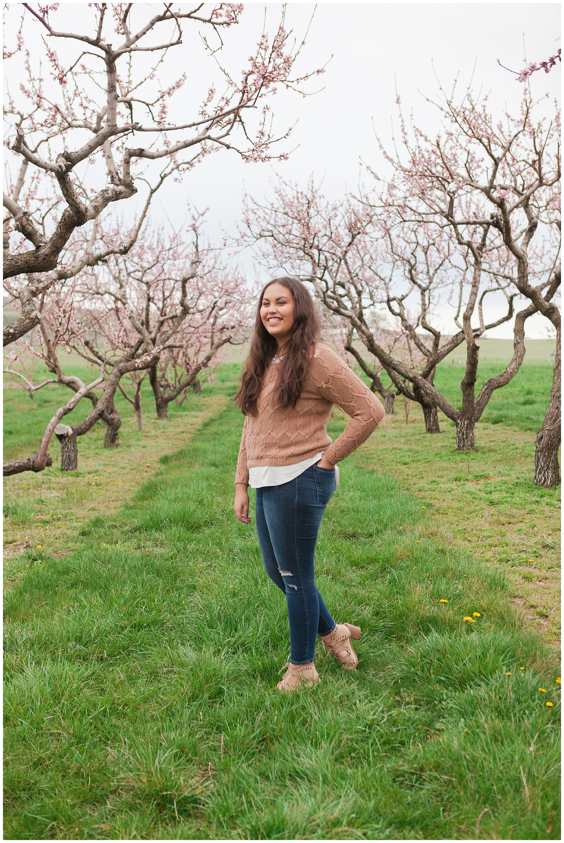 Fun and relaxed family portraits in a peach orchard with pink blossoms | Idaho family photographer | Robin Wheeler Photography