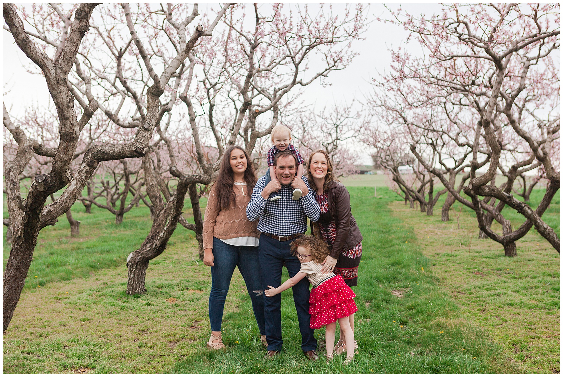 Fun and relaxed family portraits in a peach orchard with pink blossoms | Idaho family photographer | Robin Wheeler Photography