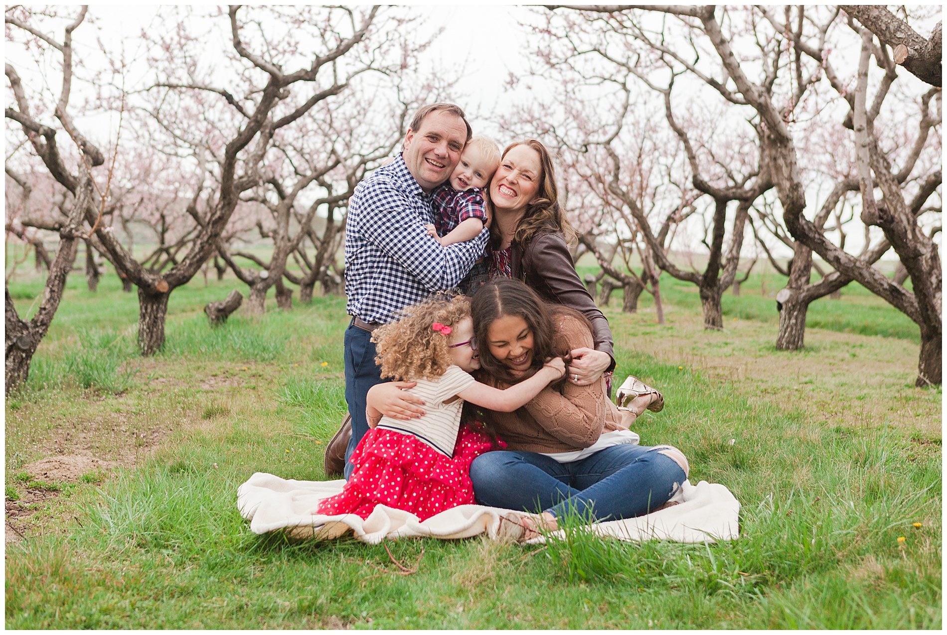 Fun and relaxed family portraits in a peach orchard with pink blossoms | Idaho family photographer | Robin Wheeler Photography