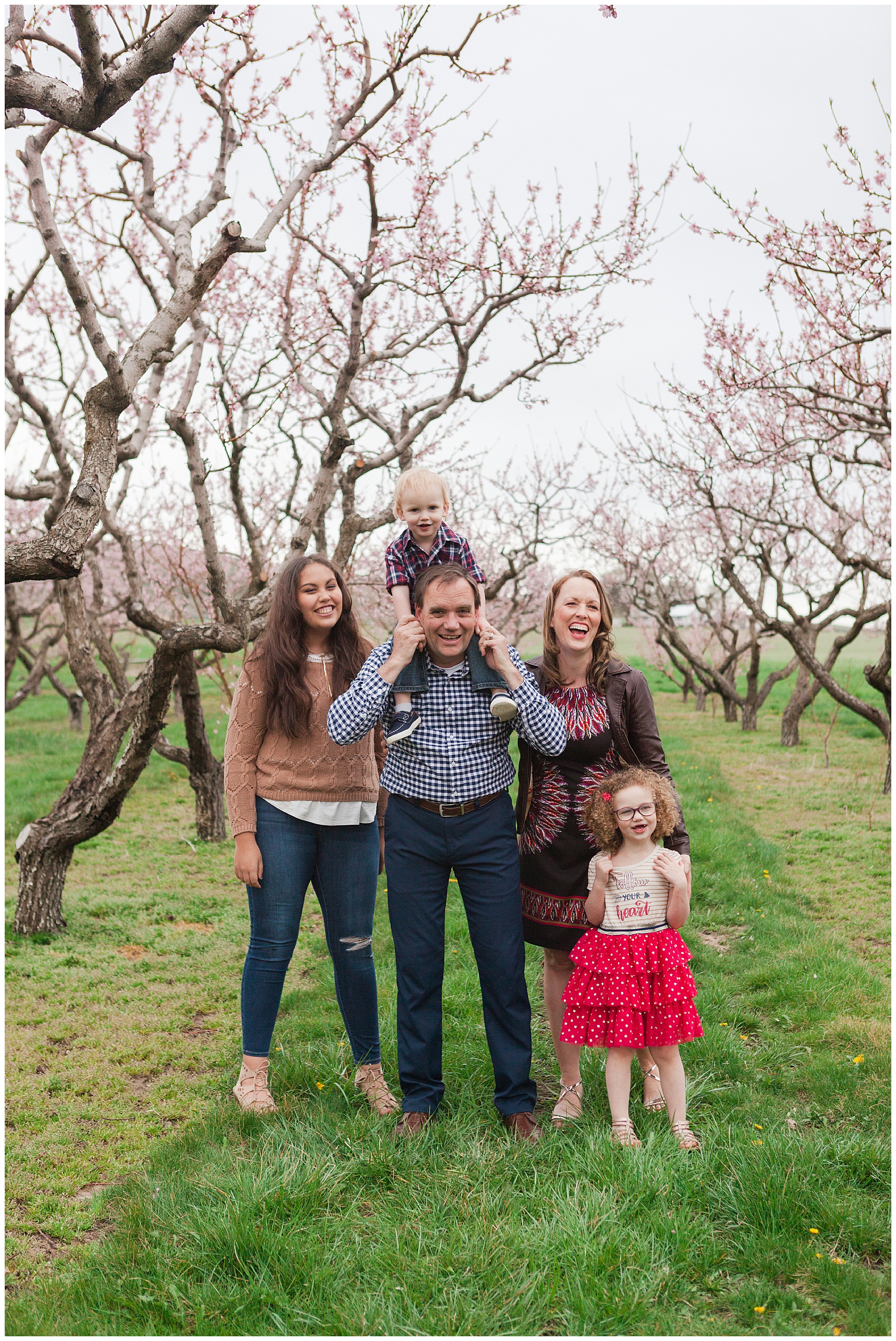 Fun and relaxed family portraits in a peach orchard with pink blossoms | Idaho family photographer | Robin Wheeler Photography