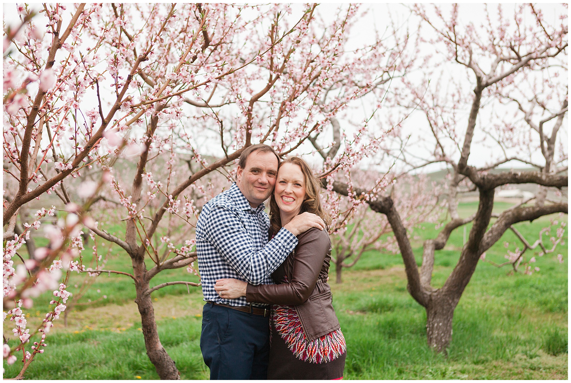 Fun and relaxed family portraits in a peach orchard with pink blossoms | Idaho family photographer | Robin Wheeler Photography