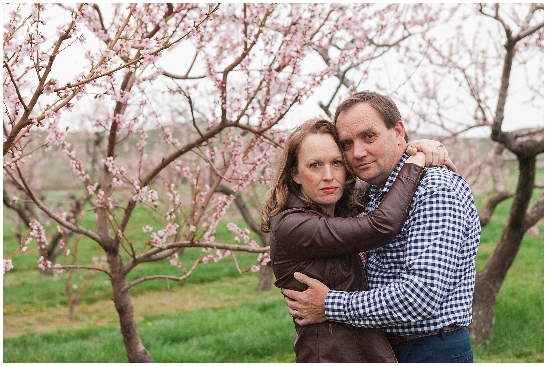 Fun and relaxed family portraits in a peach orchard with pink blossoms | Idaho family photographer | Robin Wheeler Photography