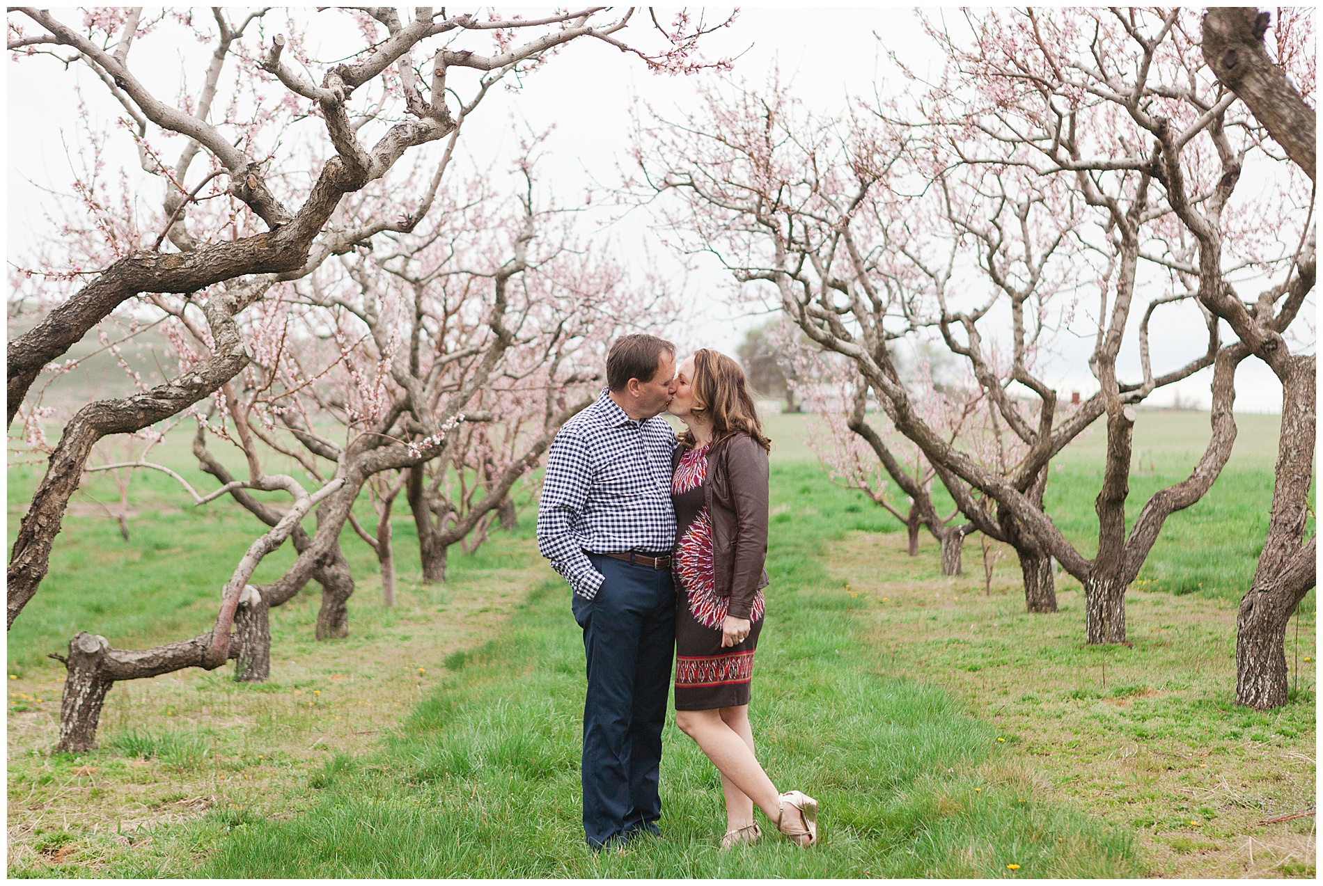 Fun and relaxed family portraits in a peach orchard with pink blossoms | Idaho family photographer | Robin Wheeler Photography