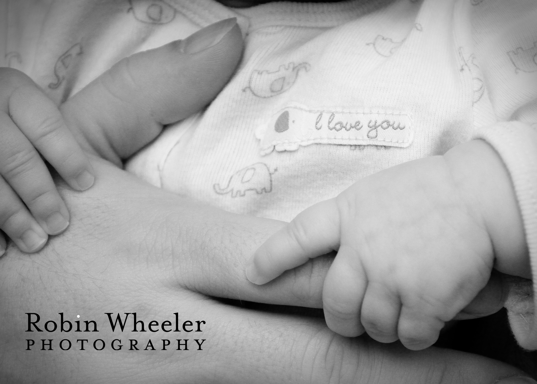 Family portrait of a baby holding her father's hand, Robin Wheeler Photography, Ontario, Oregon