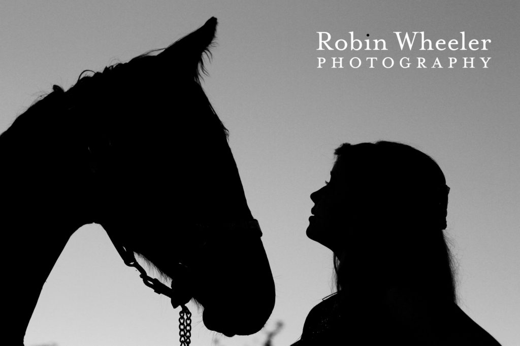 silhouette of a girl with her horse