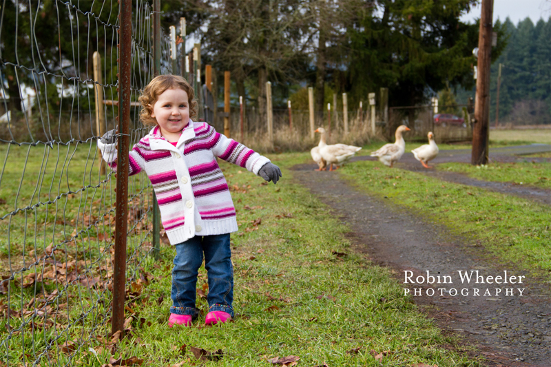 Toddler laughing with geese in the background, Dallas, Oregon