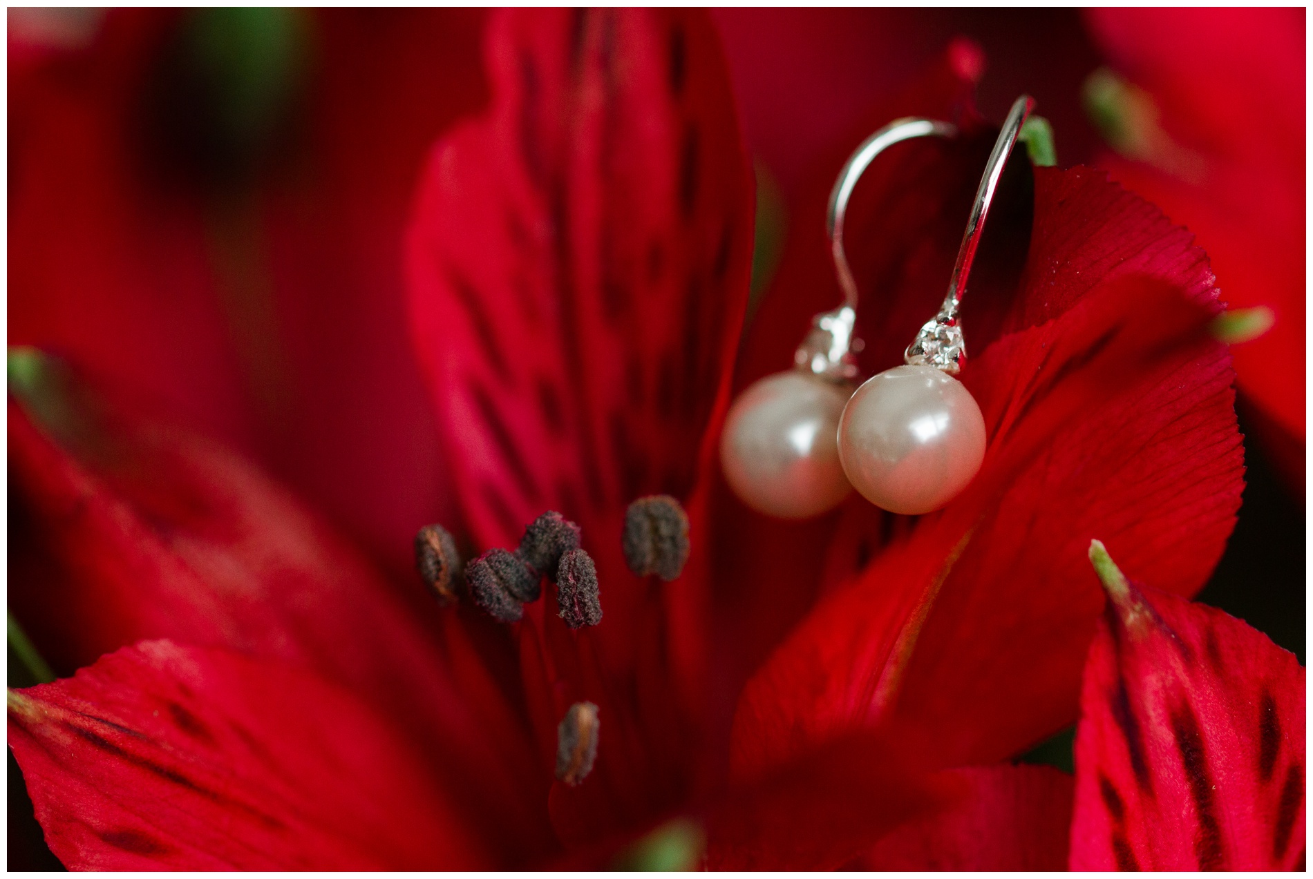 Pearl and diamond earrings on red flowers