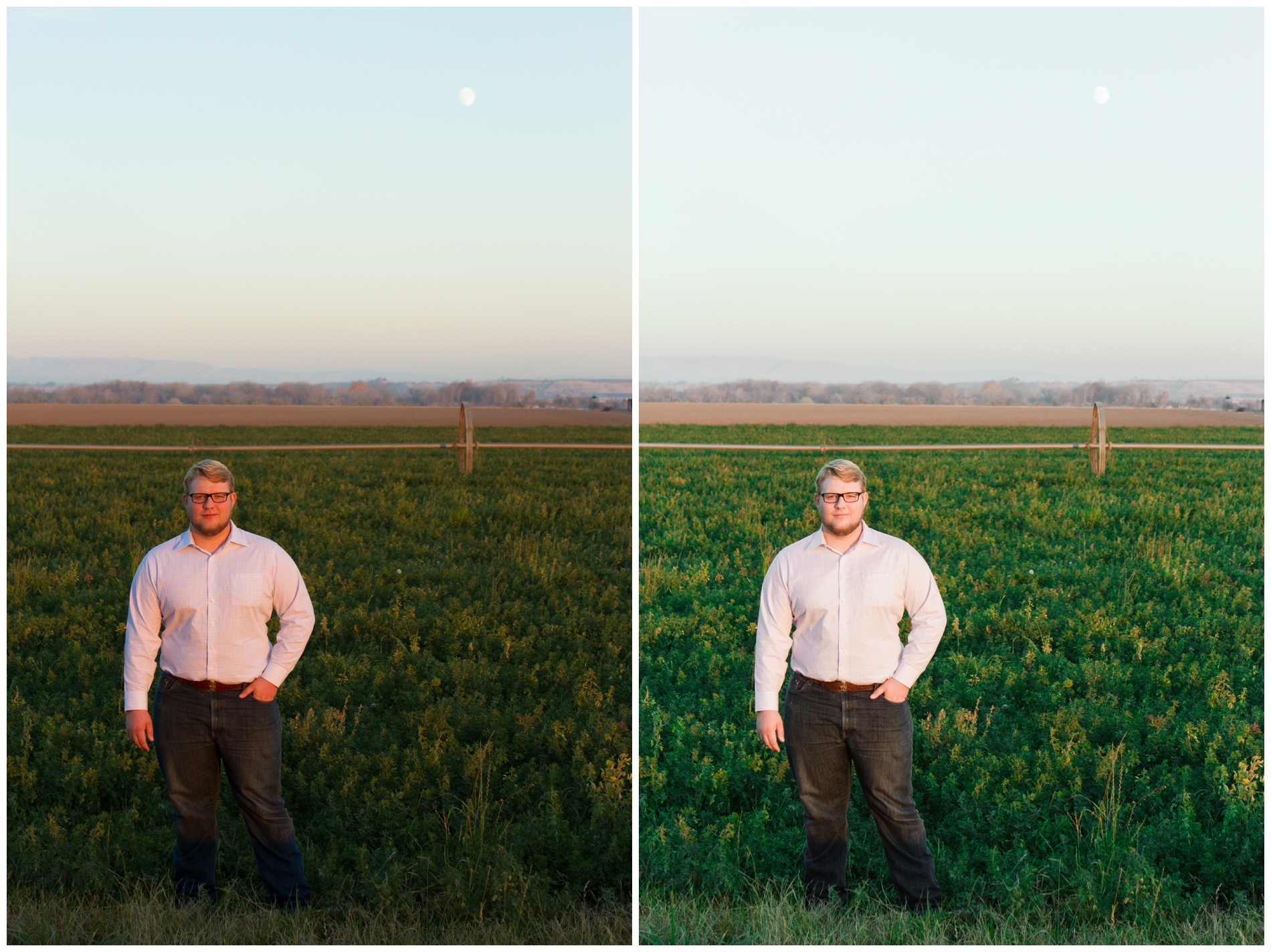 A high school senior standing in an alfalfa field at sunset.