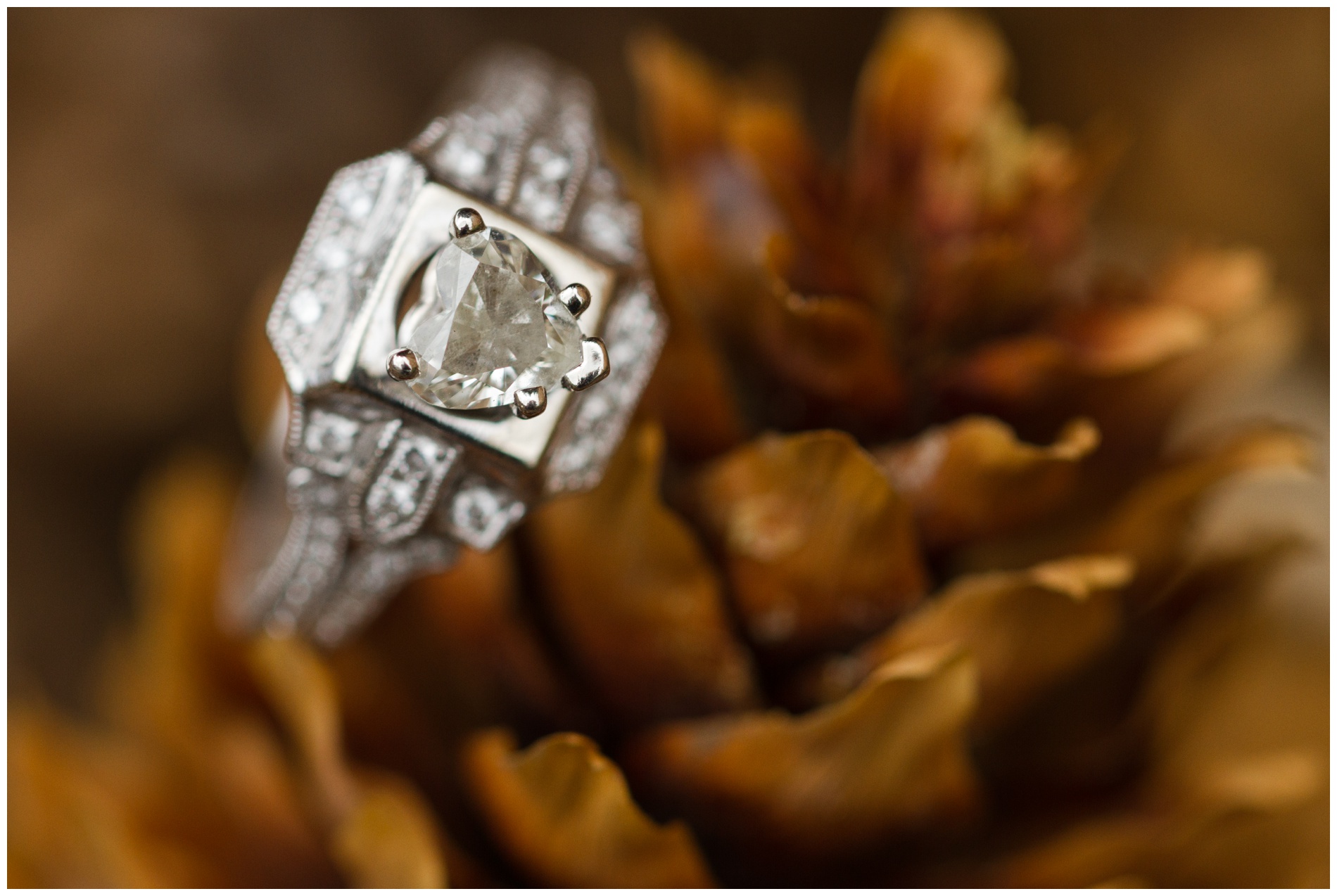 Engagement ring on a pine cone.