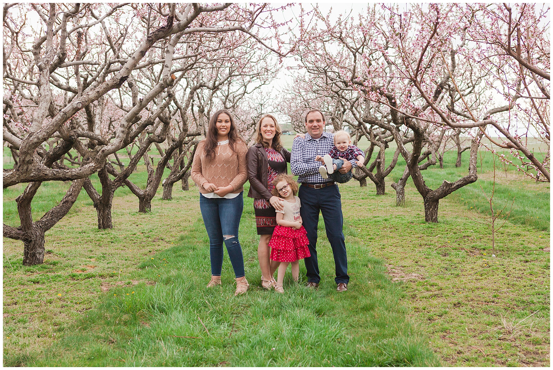 Fun and relaxed family portraits in a peach orchard with pink blossoms | Idaho family photographer | Robin Wheeler Photography