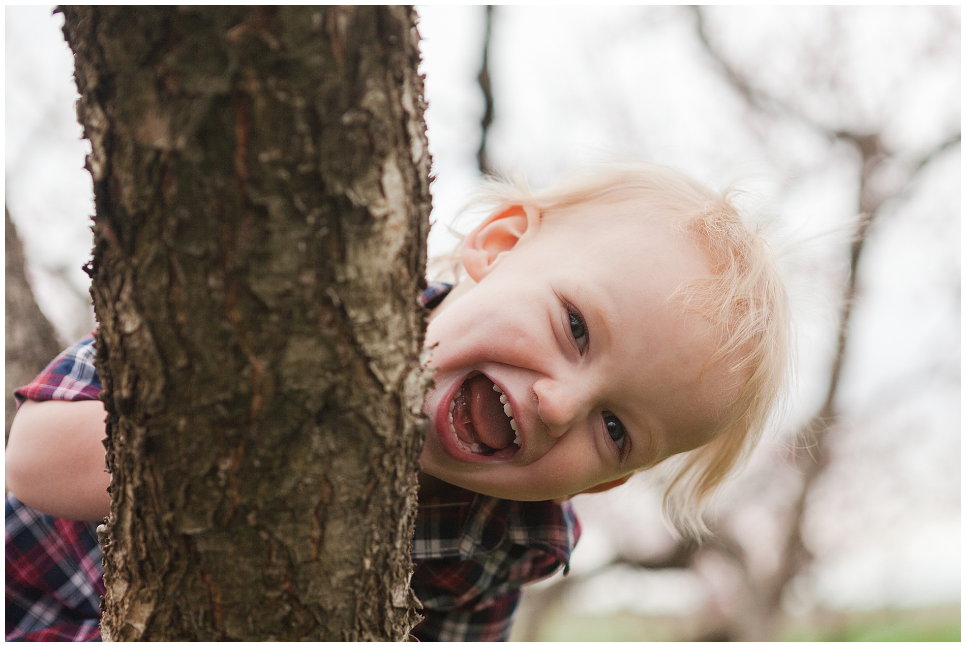 Fun and relaxed family portraits in a peach orchard with pink blossoms | Idaho family photographer | Robin Wheeler Photography