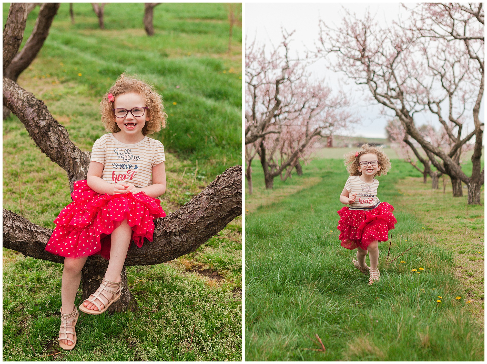 Fun and relaxed family portraits in a peach orchard with pink blossoms | Idaho family photographer | Robin Wheeler Photography