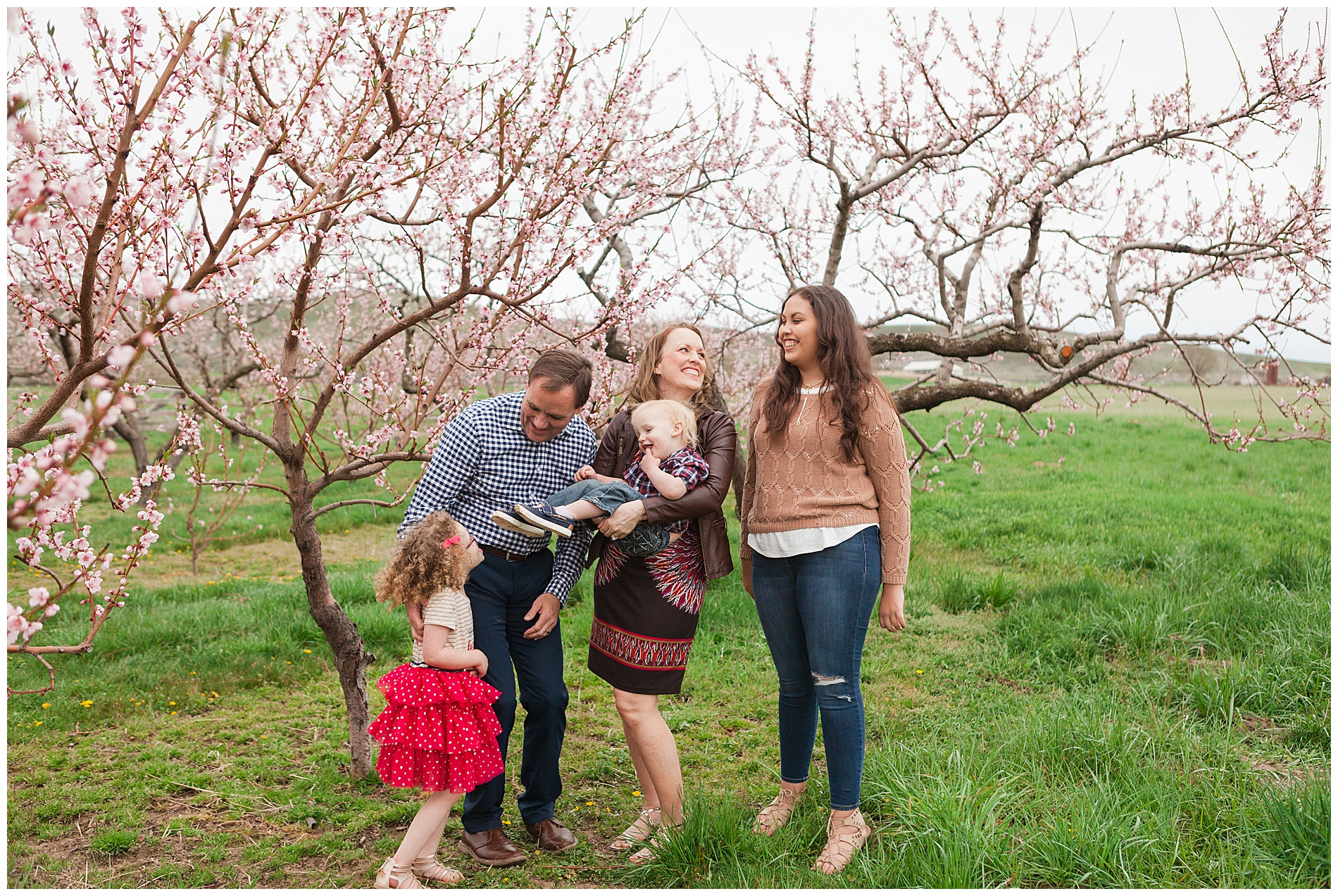 Fun and relaxed family portraits in a peach orchard with pink blossoms | Idaho family photographer | Robin Wheeler Photography