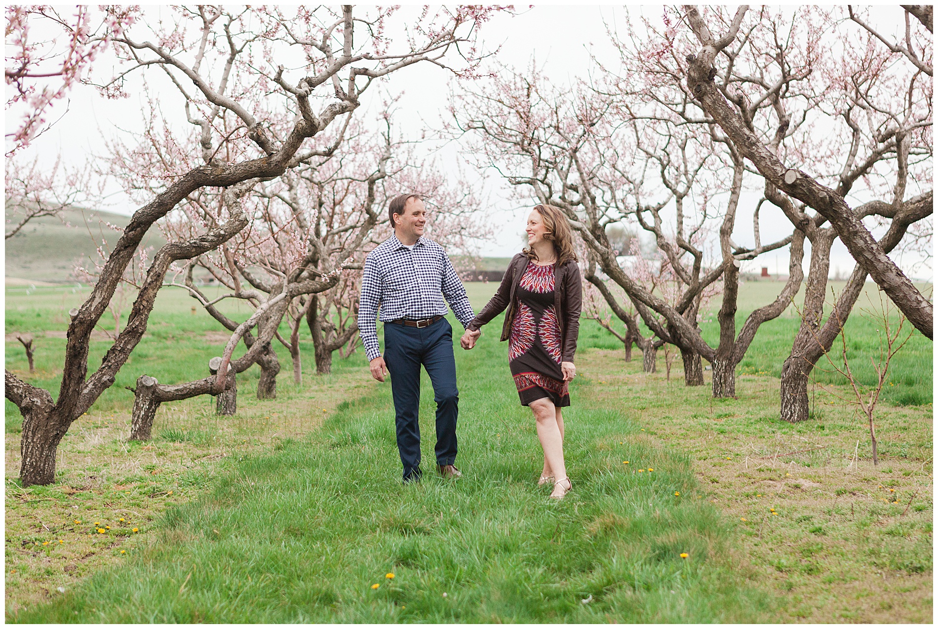 Fun and relaxed family portraits in a peach orchard with pink blossoms | Idaho family photographer | Robin Wheeler Photography