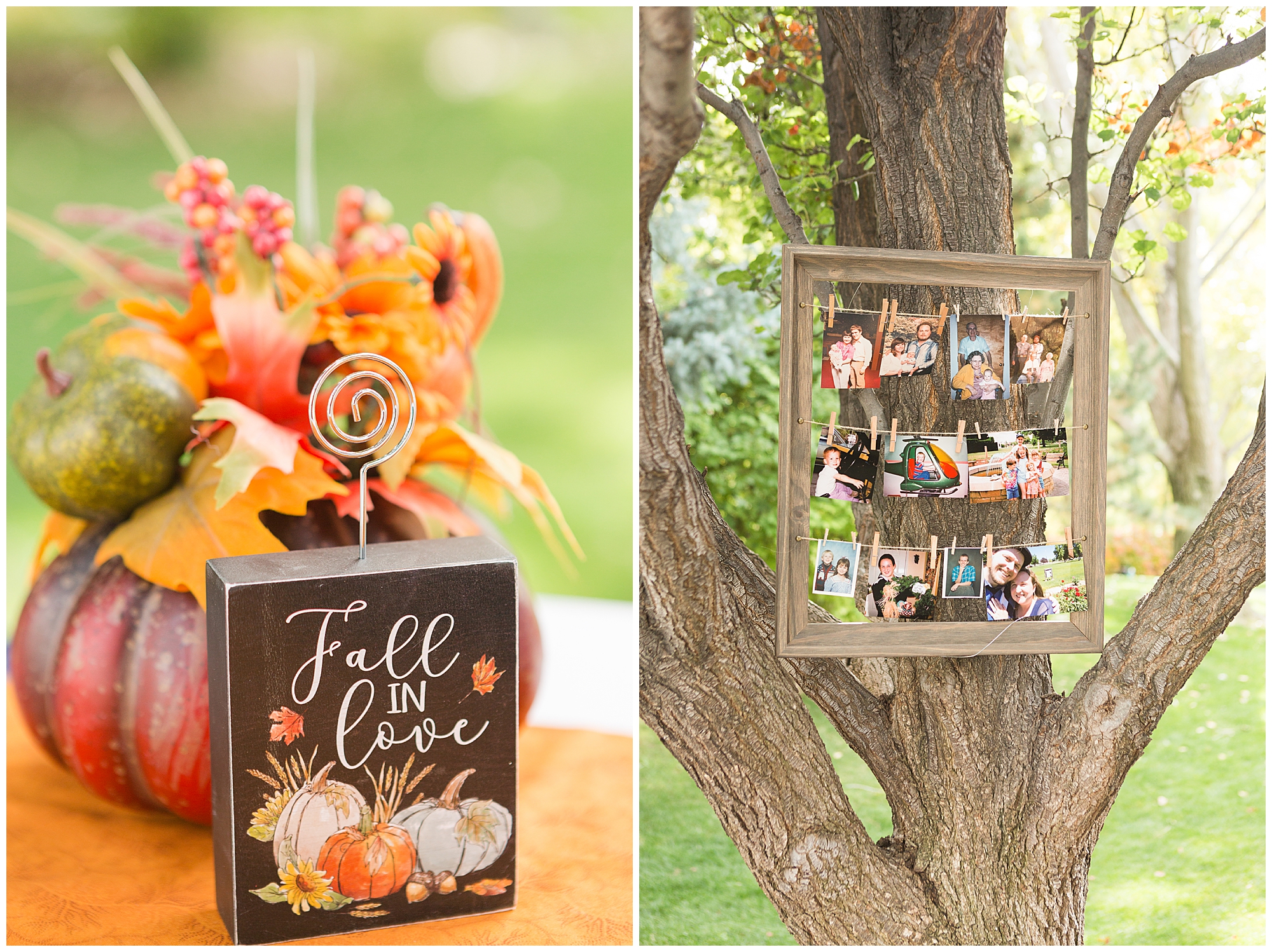 Fall decorations on tables; a display hanging in a tree of printed photos of the bride and groom as children