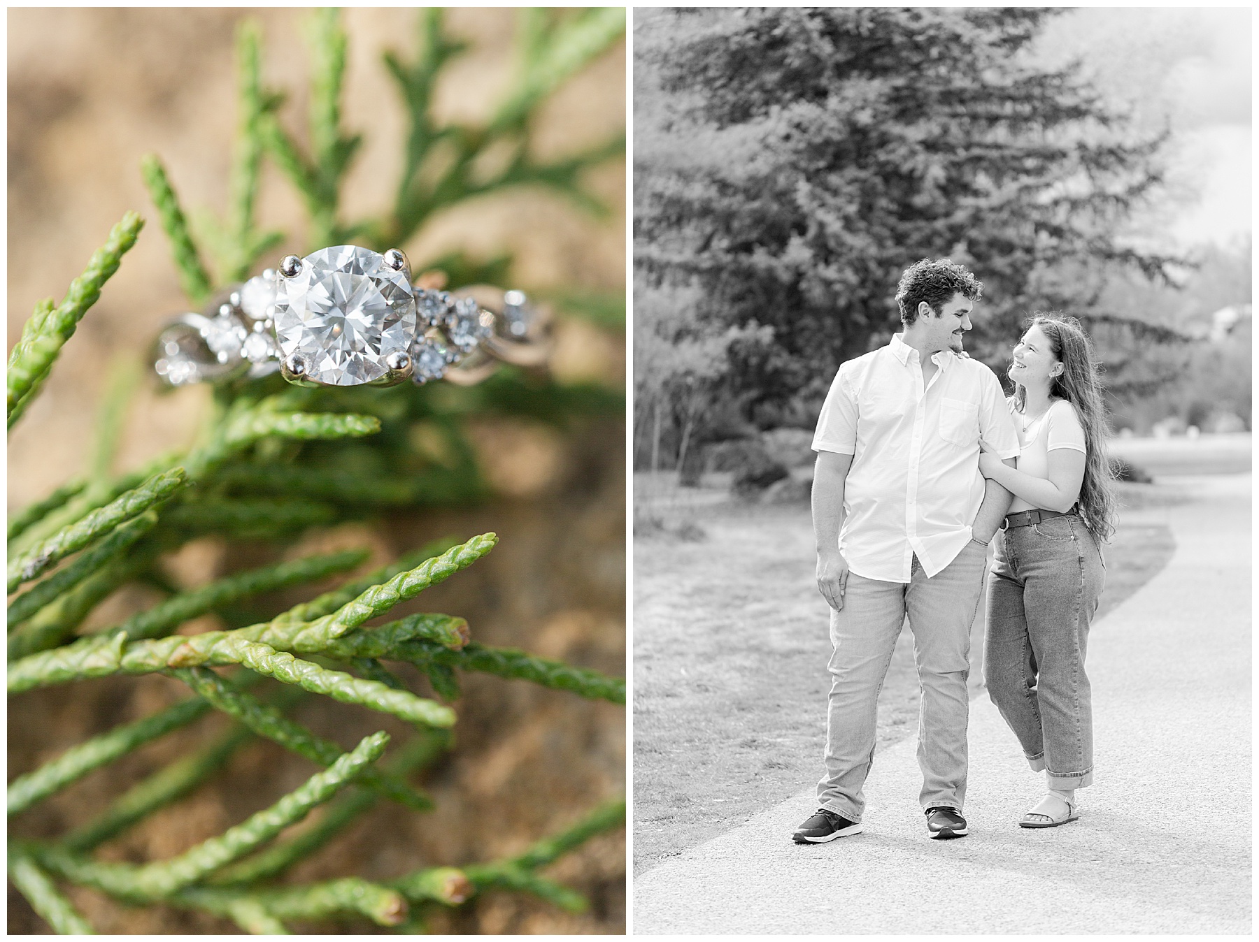 Macro shot of an engagement ring on a juniper branch; the couple on a path in the park