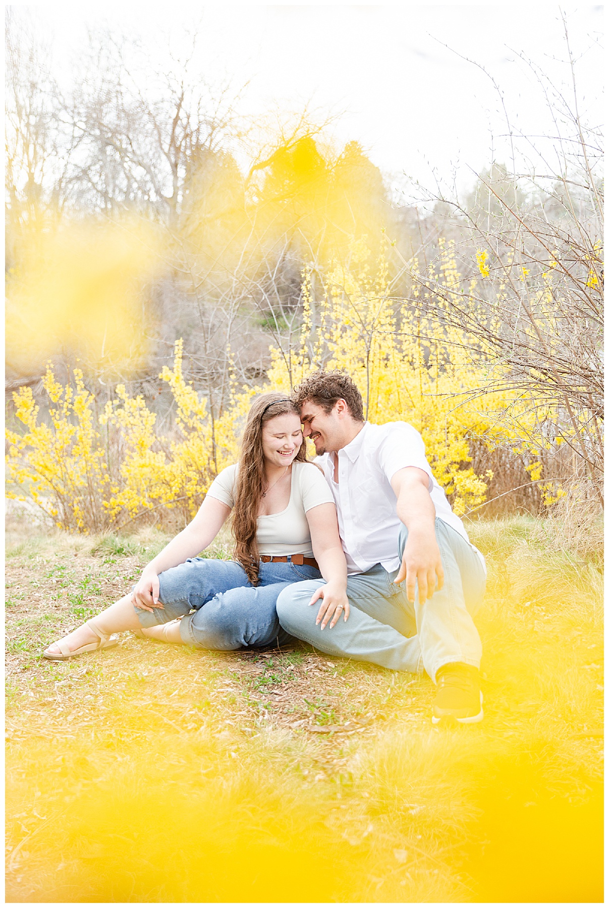The engaged couple sitting together with yellow forsythia in the background and foreground