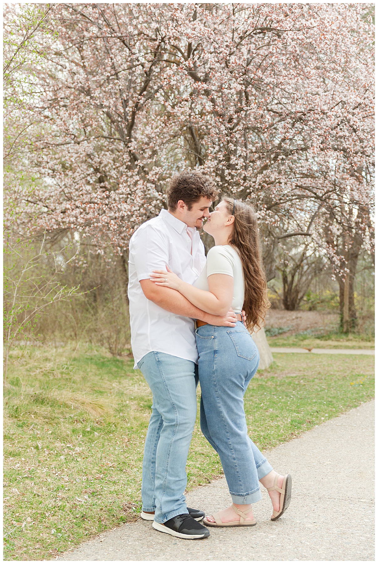 Engaged couple kissing under a tree with pink blossoms