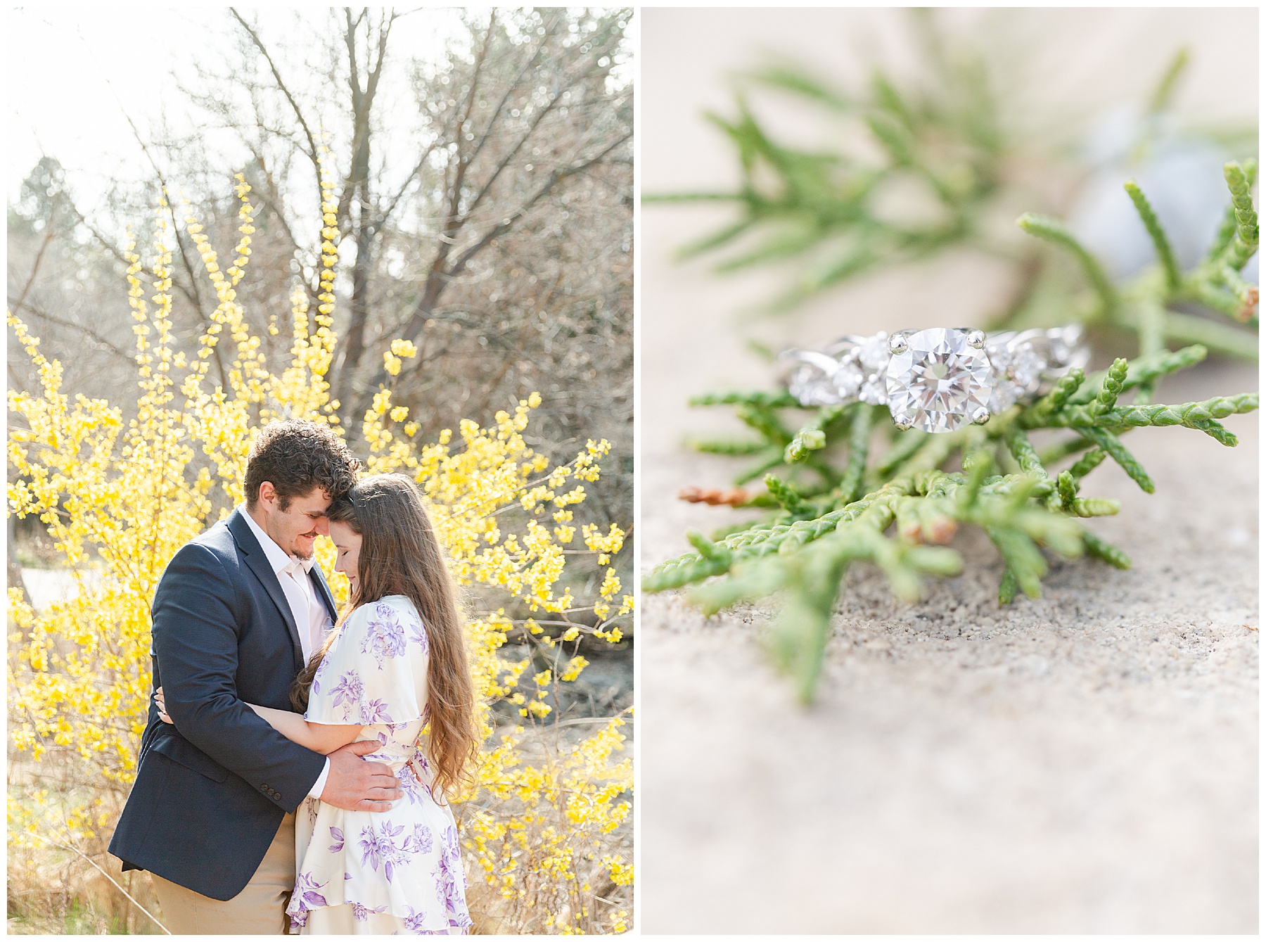 The couple embrace with yellow bushes in the background; an engagement ring on a juniper sprig