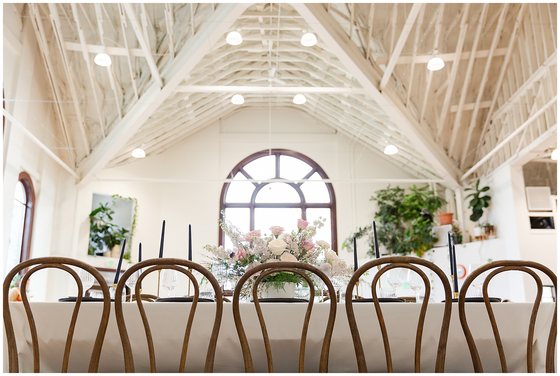 The reception table with the large window and white rafters of TRICA out of focus in the background, as well as many houseplants